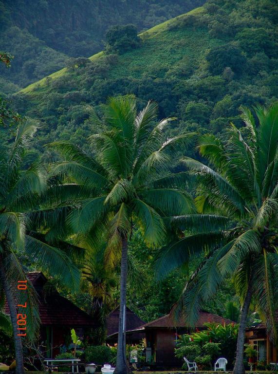 Tauhanihani Village Lodge La Vague Bleue Teahupoo エクステリア 写真